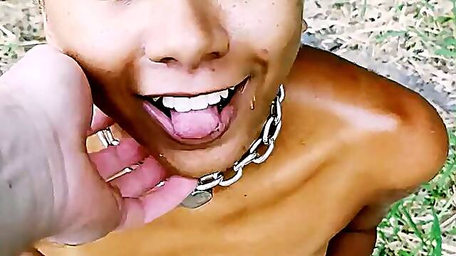 Going for a walk in the woods like a pet